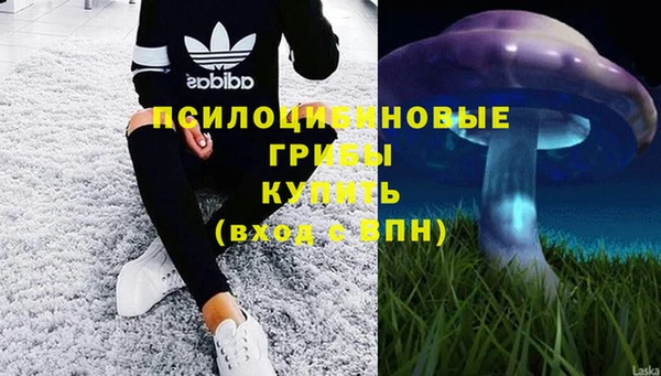 каннабис Богородицк