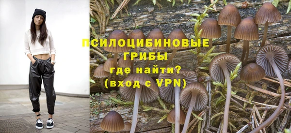 мдма Богданович