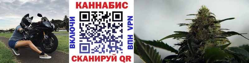Бошки марихуана VHQ  как найти закладки  Волосово 